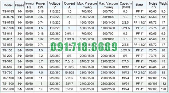 Thông số kỹ thuật máy thổi khí Trundean TS