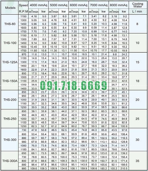 Thông số Máy thổi khí Trundean THS