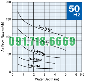 Đường đặc tính máy sục khí Tsurumi BER_50hz