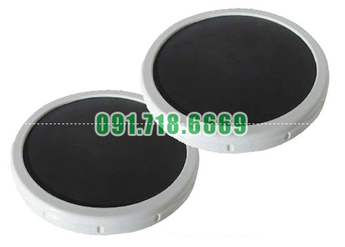 Bán Đĩa phân phối khí Heywel RSD-168F giá rẻ chính hãng