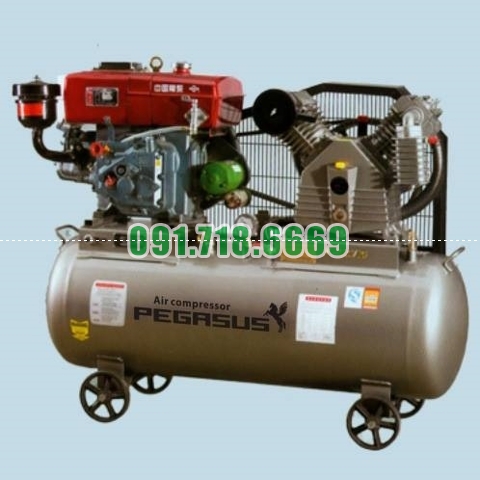 Bán Máy nén khí đầu nổ Pegasus 10HP-(TM-V-1.05/12.5-500L) giá rẻ chính hãng