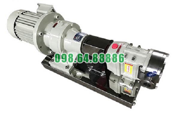 Máy bơm cánh khế 3RP-60 công suất 7.5 kW áp suất 0,6 MPa tốc độ quay 500 vòng/phút