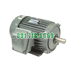 Bán Động cơ điện motor TECO AESV1S-0.75 giá rẻ chính hãng