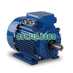 Bán Motor động cơ điện Elektrim EM160L-2 18.5Kw giá rẻ chính hãng